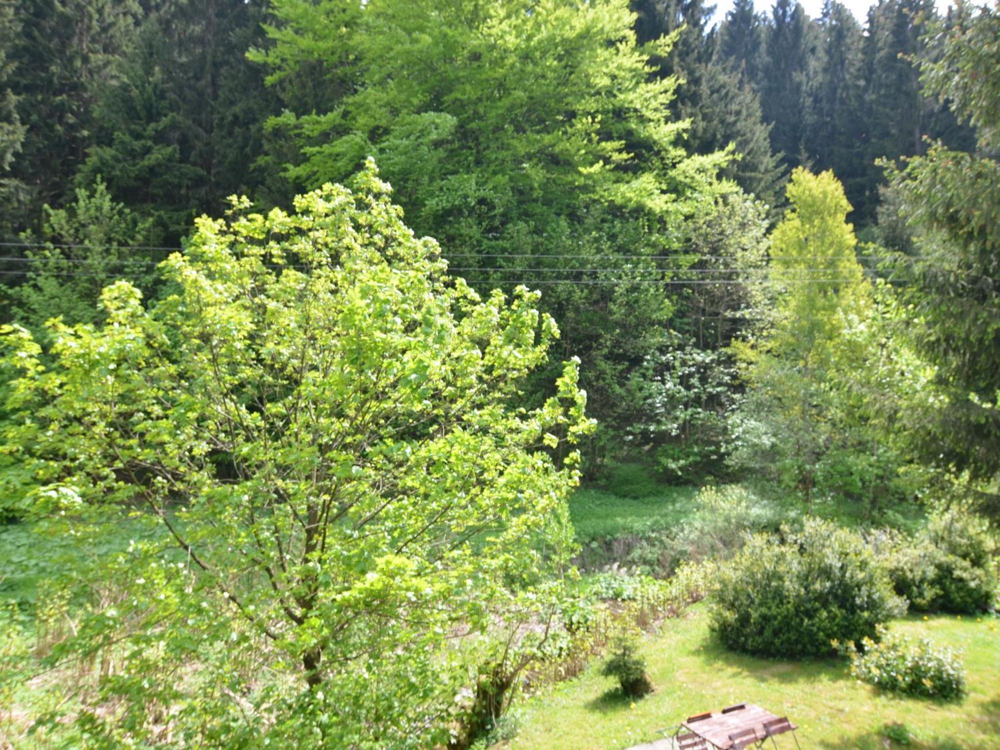 Apartment In Heubach In The Forest Gießübel Esterno foto